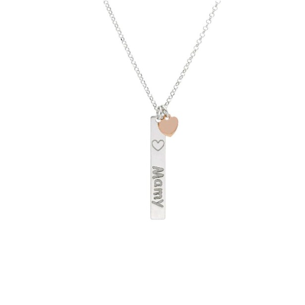 Girocollo in argento bicolore 925/ooo con cuore