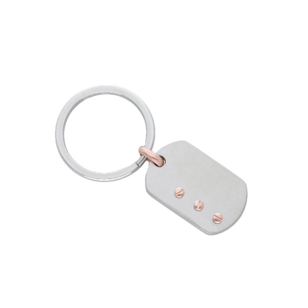 Portachiavi in acciaio con piastra e viti